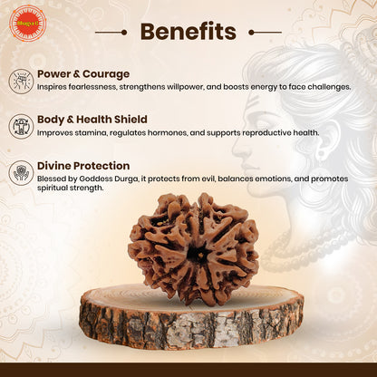 Nepali 9 Mukhi Rudraksha (Lab Certified)