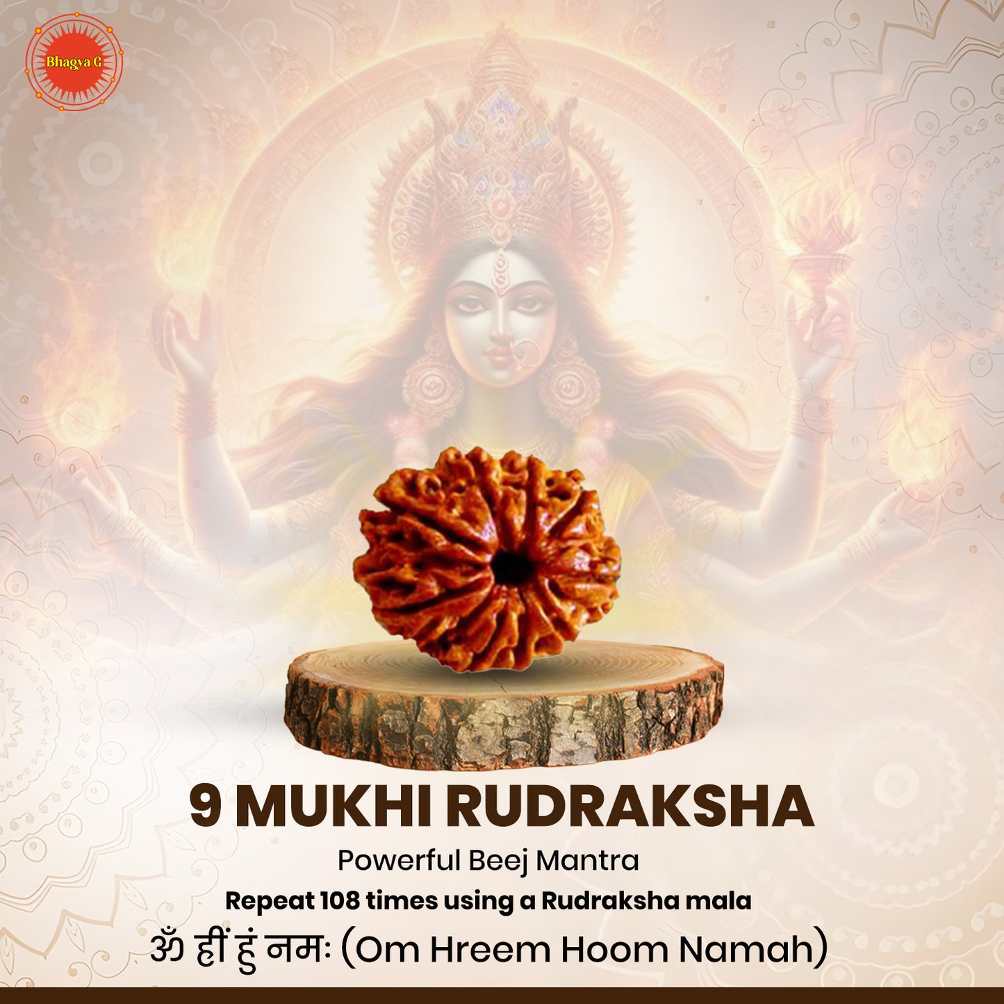 9 Mukhi Rudraksha (Nepali)