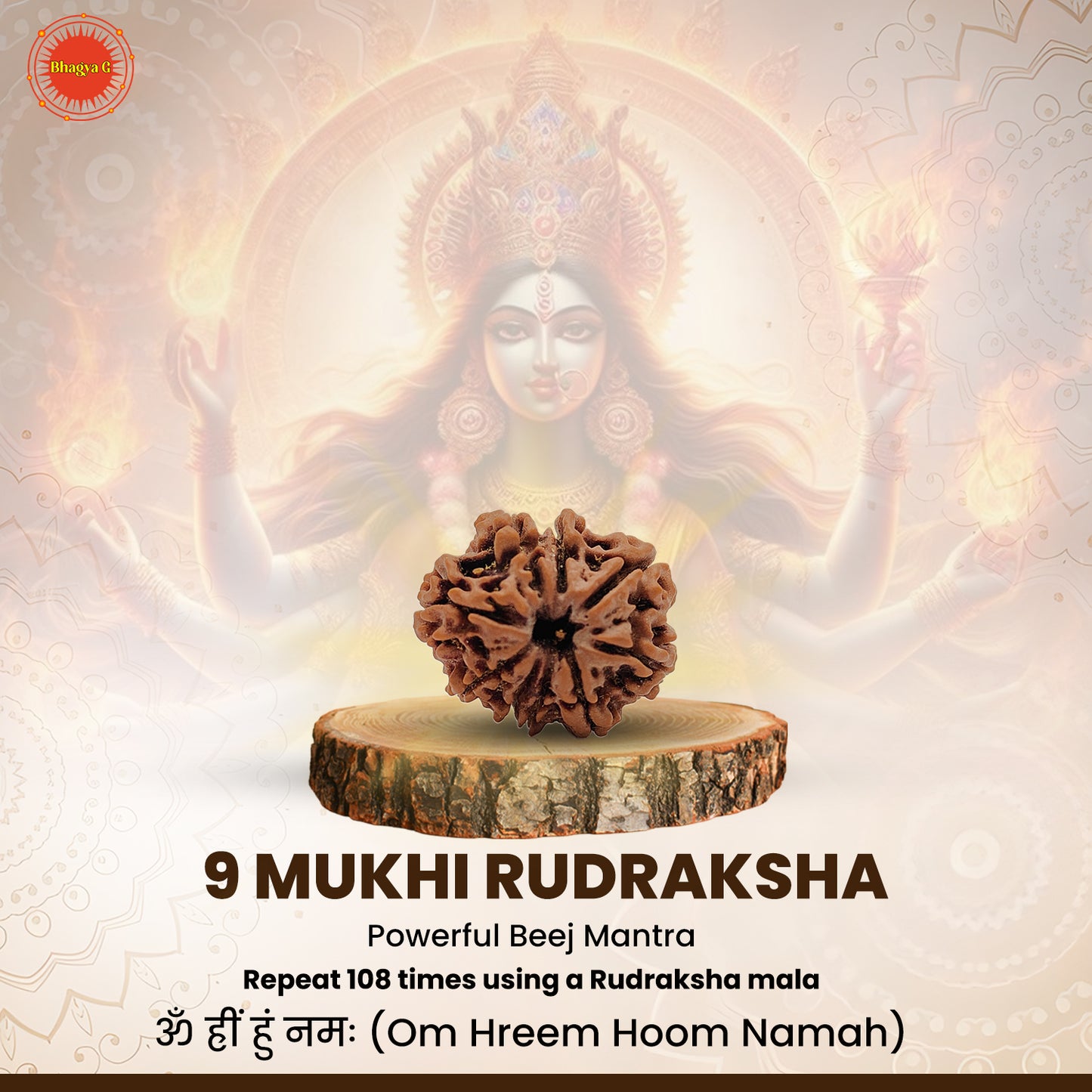 Nepali 9 Mukhi Rudraksha (Lab Certified)