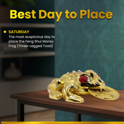 Ancient Feng Shui Frog