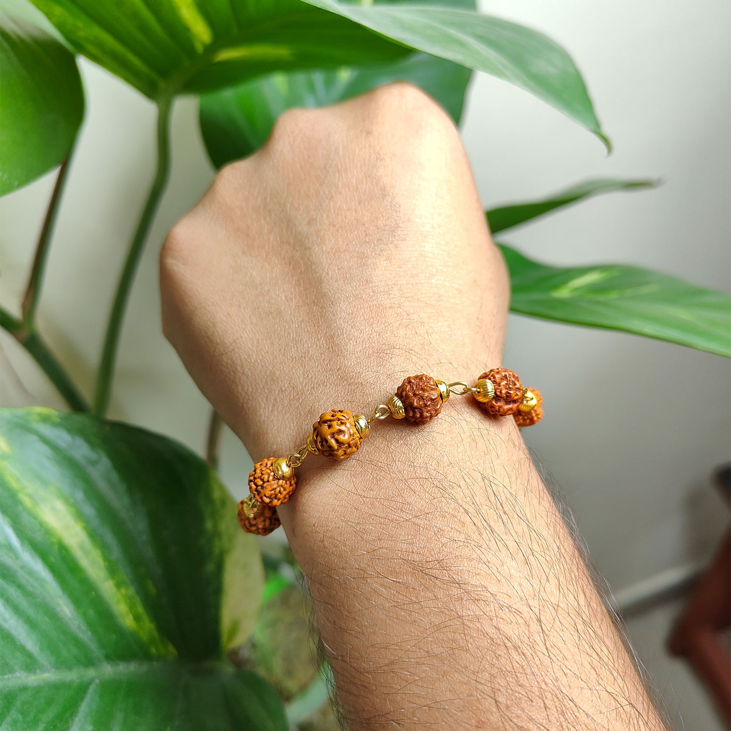 Divine 5 Mukhi Rudraksha Bracelet