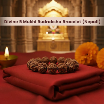 Divine 5 Mukhi Rudraksha Bracelet (Nepali)