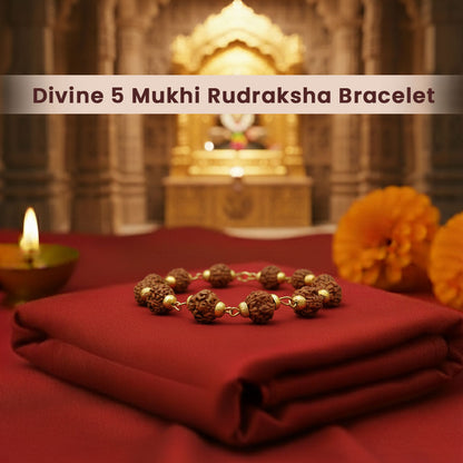 Divine 5 Mukhi Rudraksha Bracelet the powerful energy of Lord Shiva