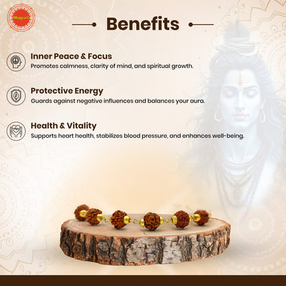 Divine 5 Mukhi Rudraksha Bracelet the powerful energy of Lord Shiva