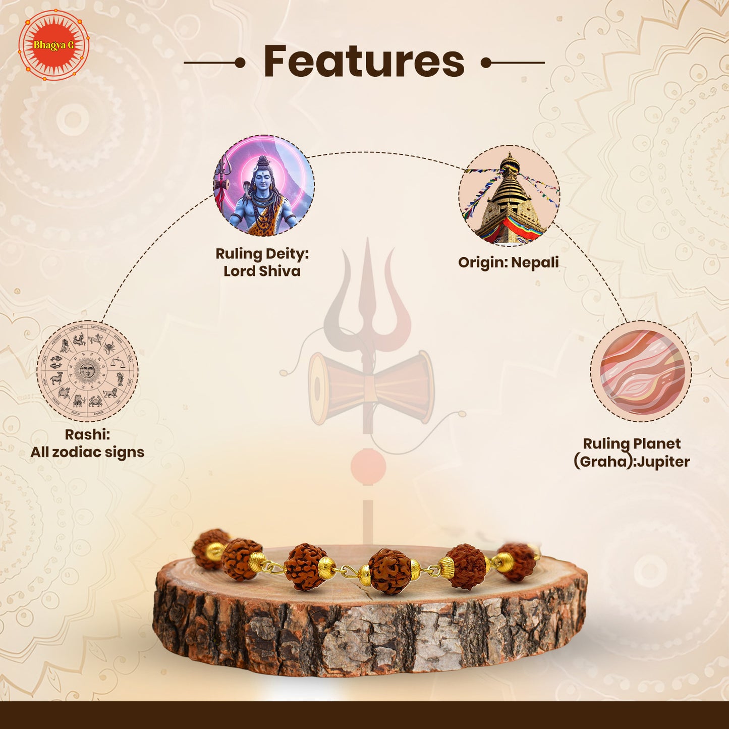 Divine 5 Mukhi Rudraksha Bracelet the powerful energy of Lord Shiva
