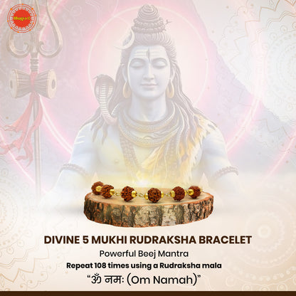 Divine 5 Mukhi Rudraksha Bracelet the powerful energy of Lord Shiva