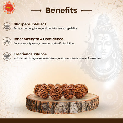 Divine 6 Mukhi Rudraksha Wisdom Bracelet (Nepali)