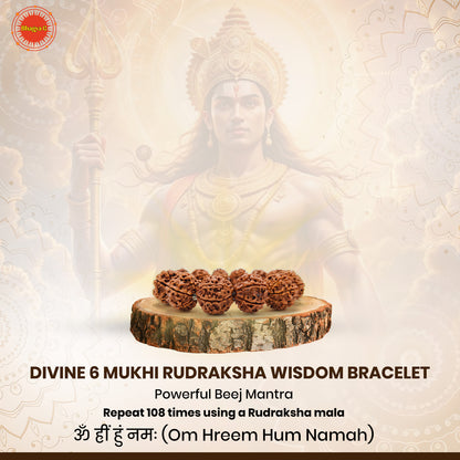 Divine 6 Mukhi Rudraksha Wisdom Bracelet (Nepali)