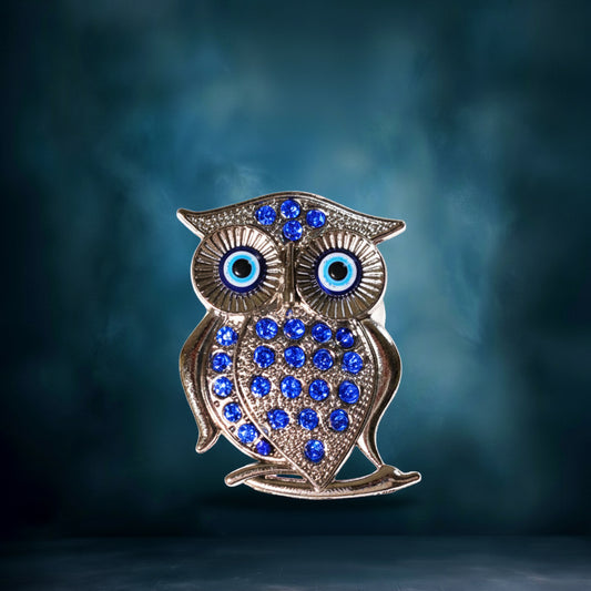 Evil Eye Owl with Magnet