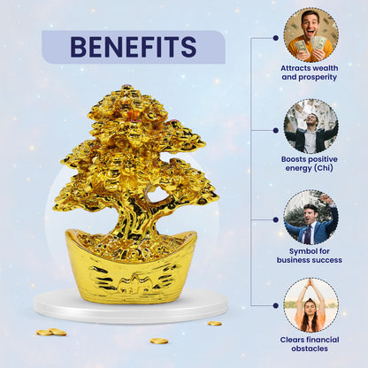 Feng-Shui Golden Coin Money Tree