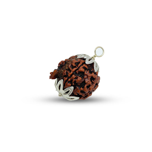 Ganesh Rudraksha (Nepali)