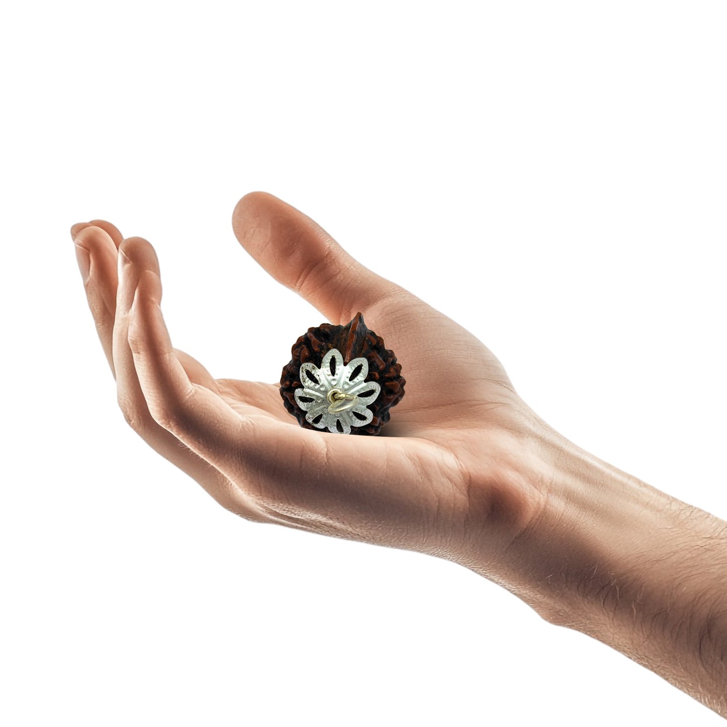 Ganesh Rudraksha