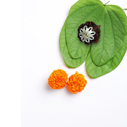 Ganesh Rudraksha