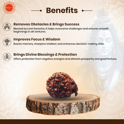 Ganesh Rudraksha (Nepali)