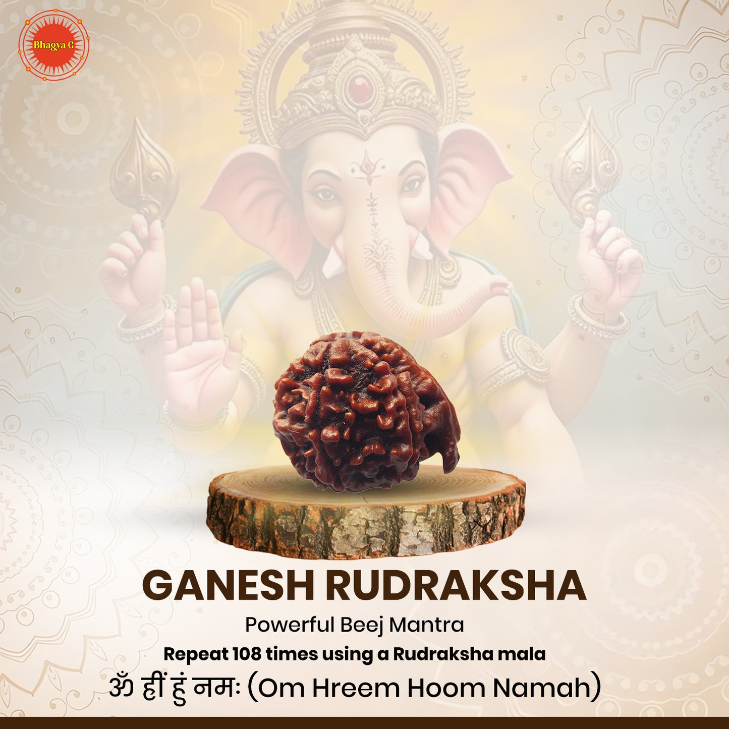 Ganesh Rudraksha (Nepali)