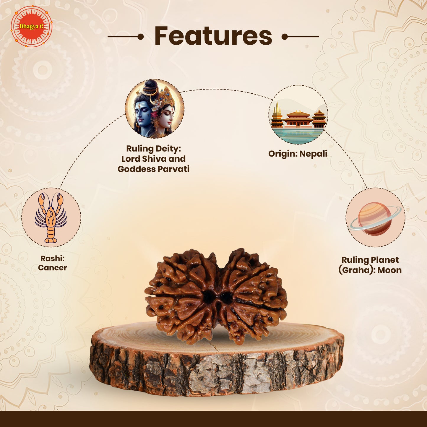 Gauri Shanker Rudraksha (Nepali)