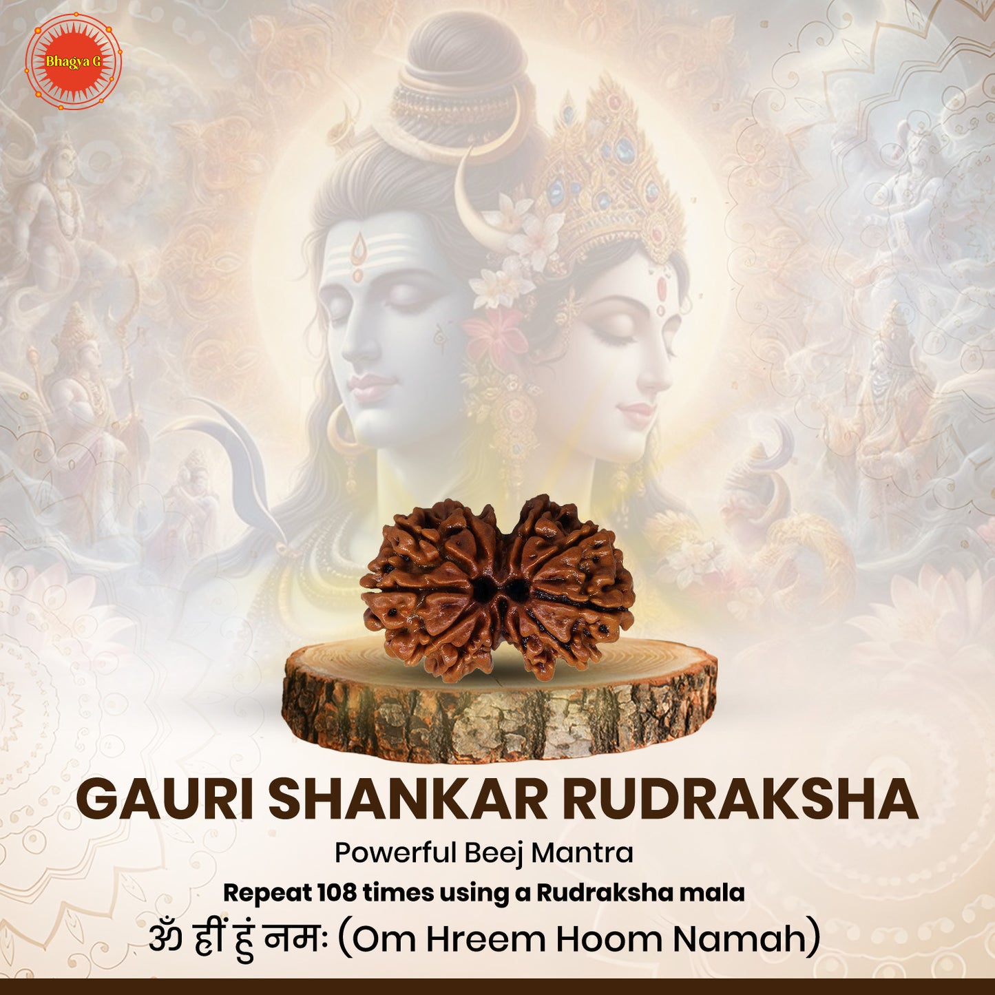 Gauri Shanker Rudraksha (Nepali)