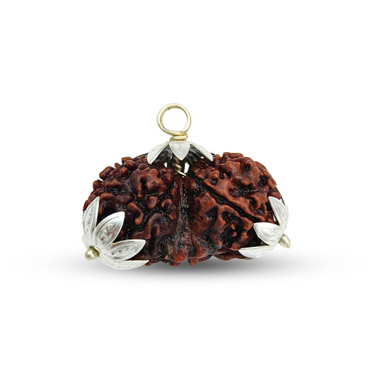 Gauri Shanker Rudraksha