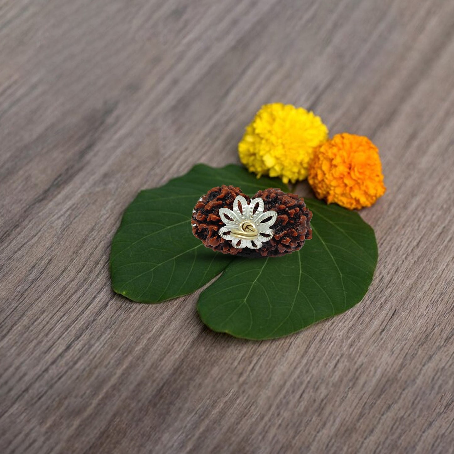 Gauri Shanker Rudraksha