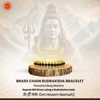 Brass Chain Rudraksha Bracelet