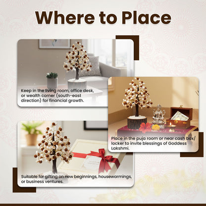 Gomti Chakra  Rudraksha Tree - 100 Beads