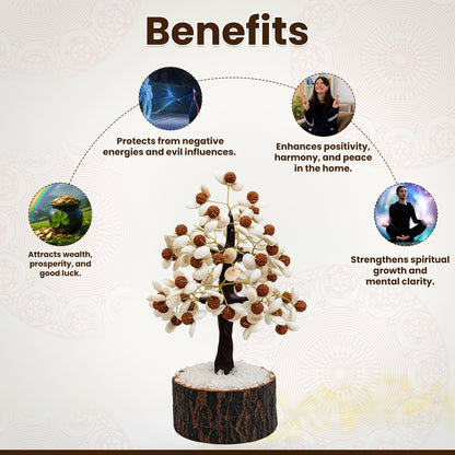 Gomti Chakra  Rudraksha Tree - 100 Beads