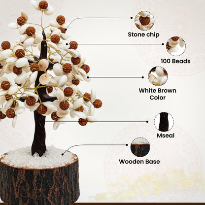 Gomti Chakra  Rudraksha Tree - 100 Beads