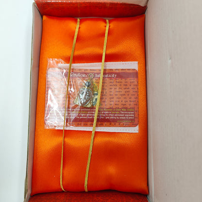 Hanuman Chalisa Yantra Locket