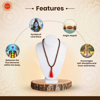 Indonesian 5 Mukhi Rudraksha Mala  (108 beads)