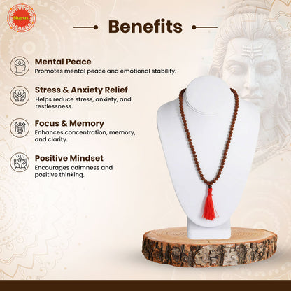 Indonesian 5 Mukhi Rudraksha Mala  (108 beads)