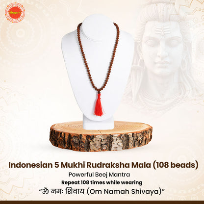 Indonesian 5 Mukhi Rudraksha Mala  (108 beads)