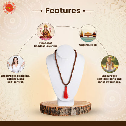 Indonesian 7 Mukhi Rudraksha Mala  (108 beads)