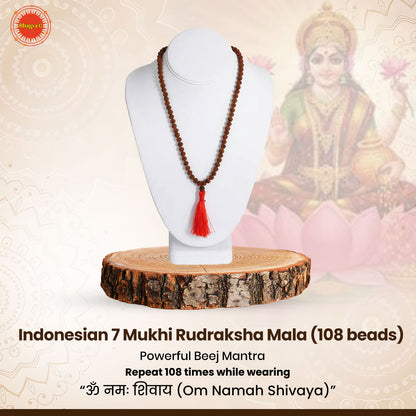 Indonesian 7 Mukhi Rudraksha Mala  (108 beads)