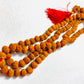 3 Mukhi Rudraksha