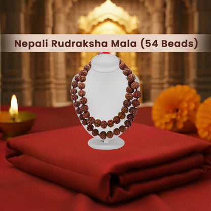Nepali Rudraksha Mala (54 Beads)