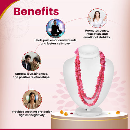 Pink Mother of Chips Pearl