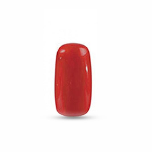 Munga (Coral)