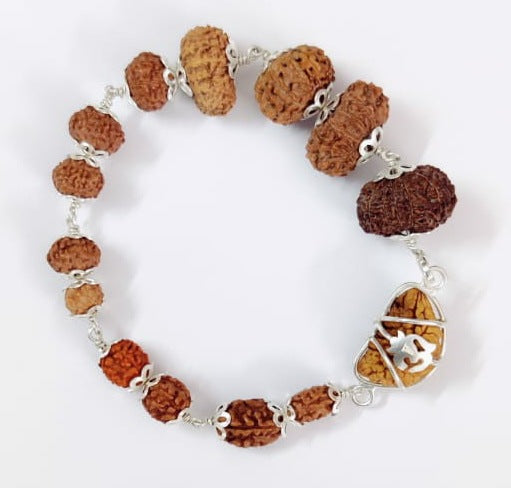 14 Mukhi Rudraksha