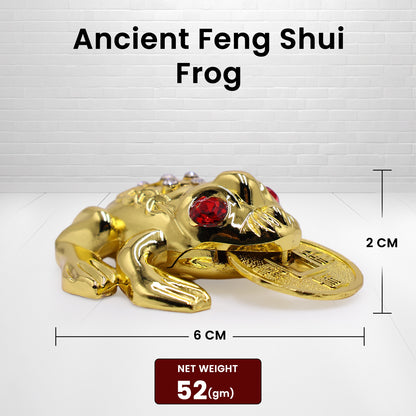 Ancient Feng Shui Frog