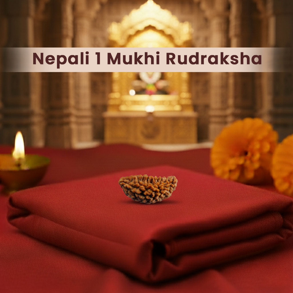 Nepali 1 Mukhi Rudraksha (Lab Certified)