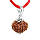 9 Mukhi Rudraksha