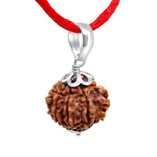 9 Mukhi Rudraksha