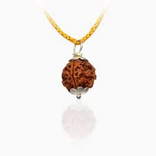 4 Mukhi Rudraksha