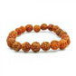 3 Mukhi Rudraksha