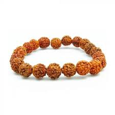 3 Mukhi Rudraksha