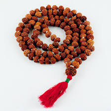 7 Mukhi Rudraksha