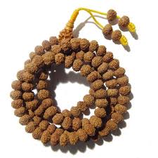 10 MUKHI RUDRAKSHA