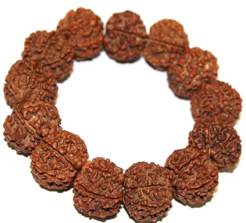 9 Mukhi Rudraksha