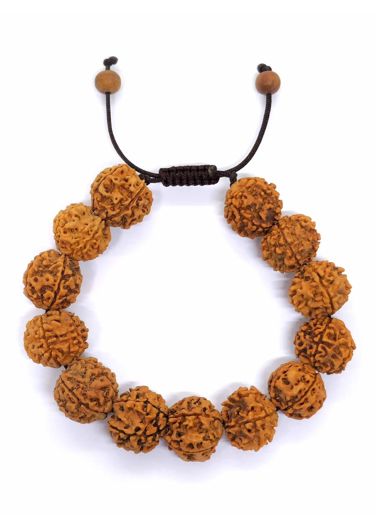 5 Mukhi Rudraksha