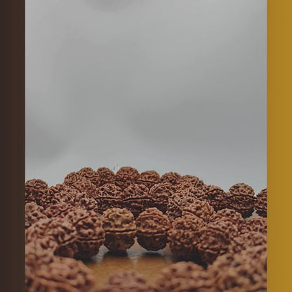 Divine 6 Mukhi Rudraksha Wisdom Bracelet (Nepali)